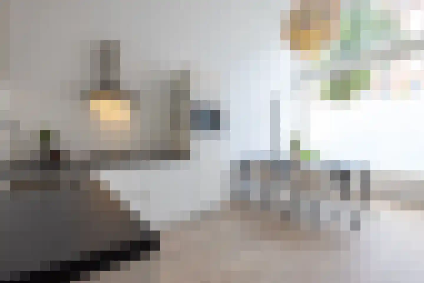 Grote Visserijstraat 80 B Rotterdam thumbnail 7
