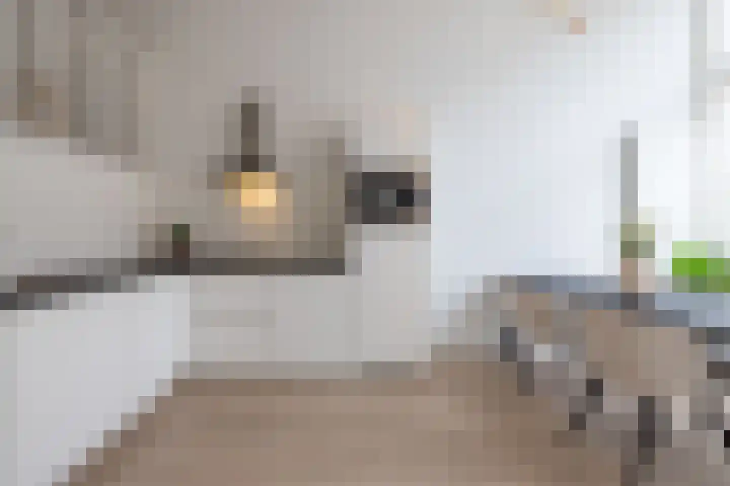 Grote Visserijstraat 80 B Rotterdam thumbnail 9