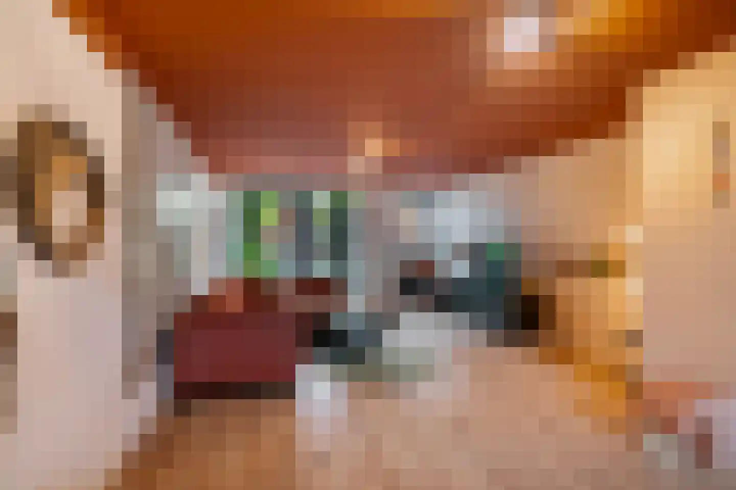 Grote Visserijstraat 87 B Rotterdam thumbnail 17
