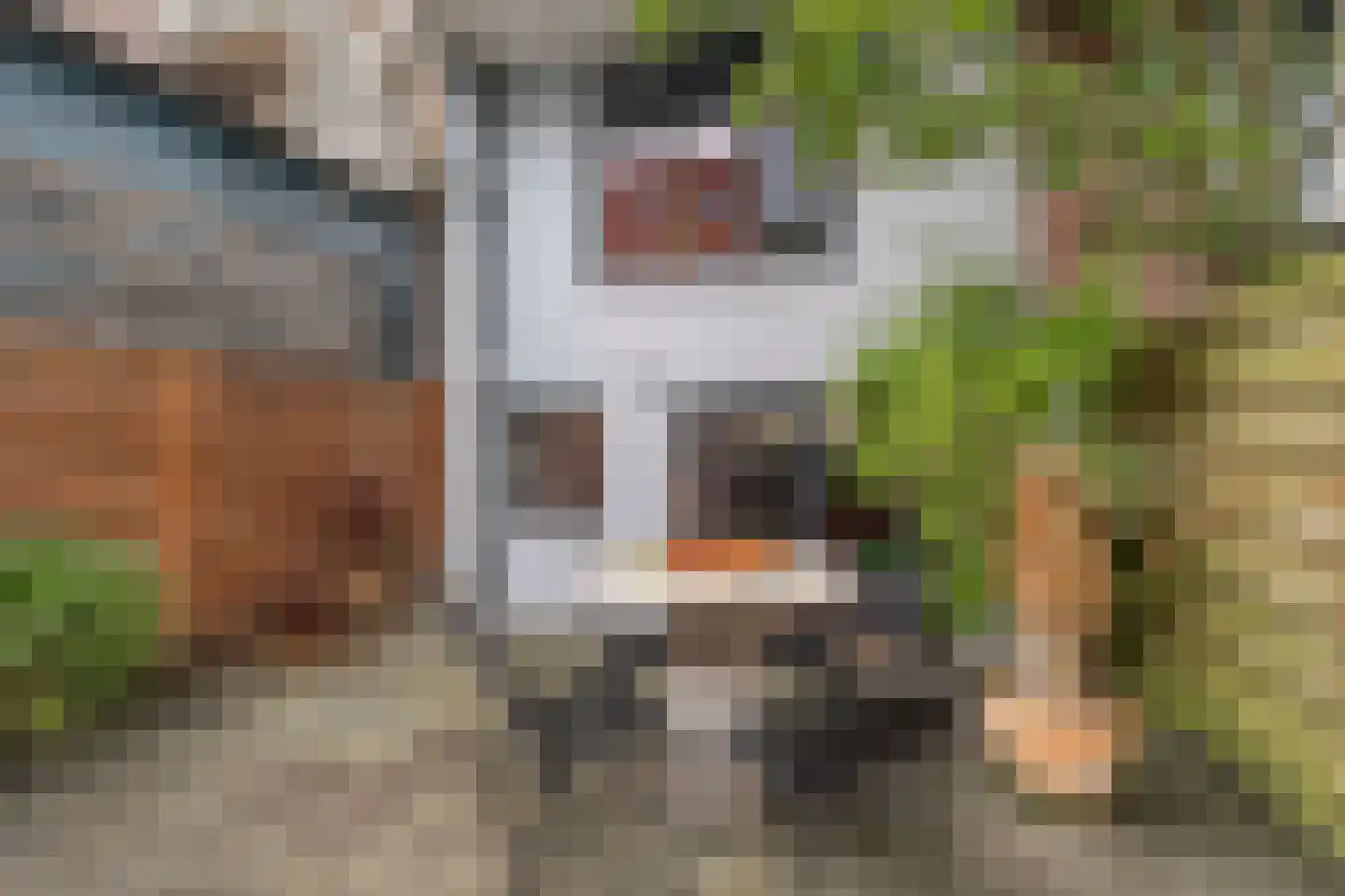 Grote Visserijstraat 87 B Rotterdam thumbnail 24