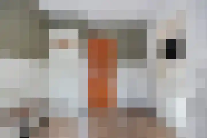 Grote Vliet 10 Veldhoven thumbnail 11