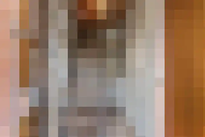 Grote Vliet 10 Veldhoven thumbnail 19