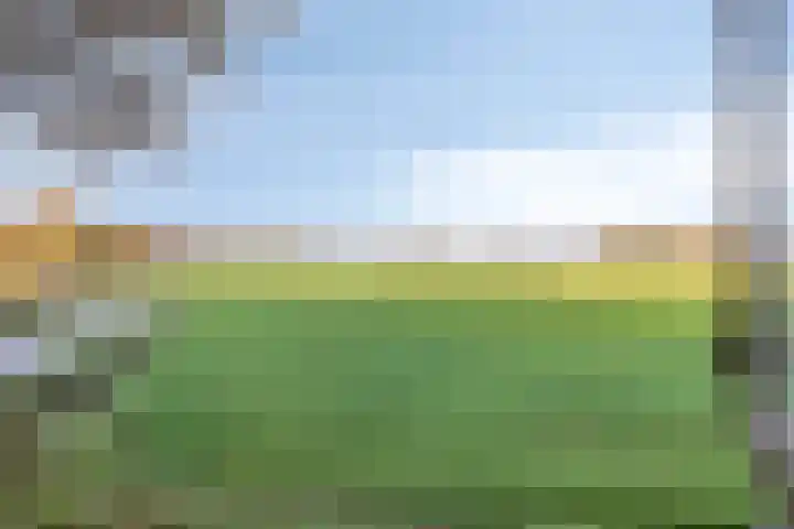 Grote Vliet 10 Veldhoven thumbnail 28
