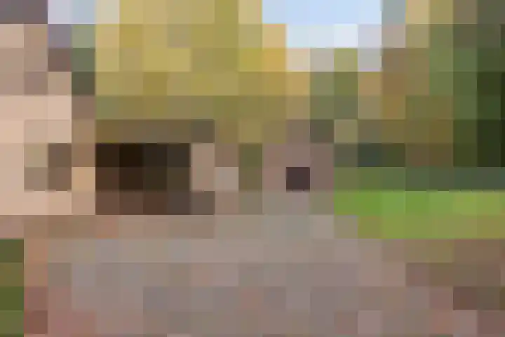 Grote Vliet 10 Veldhoven thumbnail 31