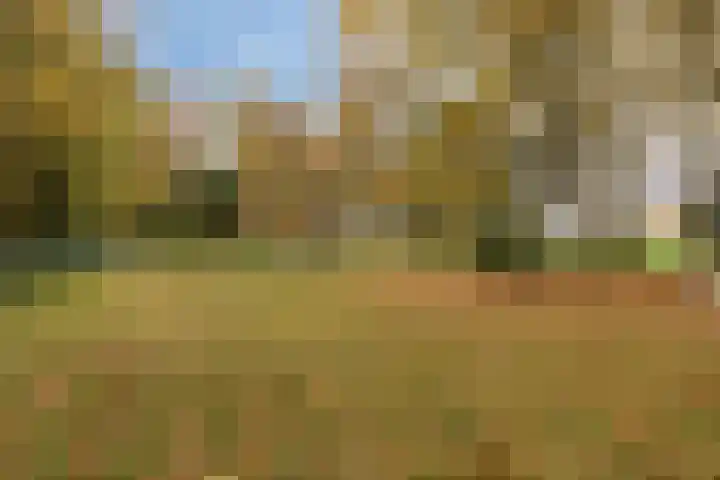 Grote Vliet 10 Veldhoven thumbnail 33