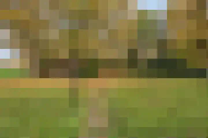 Grote Vliet 10 Veldhoven thumbnail 38