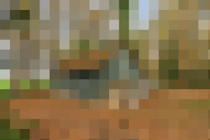 Grote Vliet 10 Veldhoven thumbnail 39