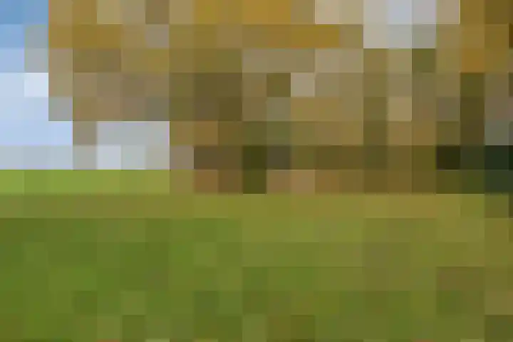 Grote Vliet 10 Veldhoven thumbnail 40