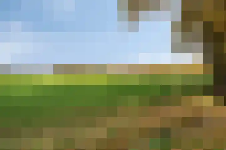 Grote Vliet 10 Veldhoven thumbnail 41