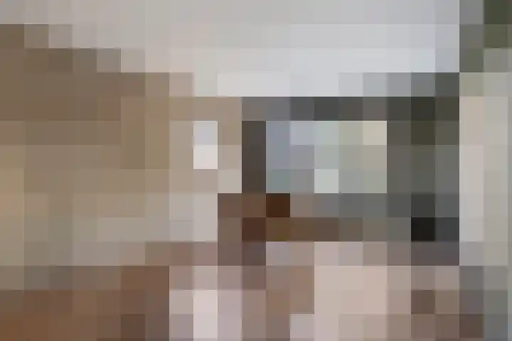 Grote Vliet 10 Veldhoven thumbnail 8