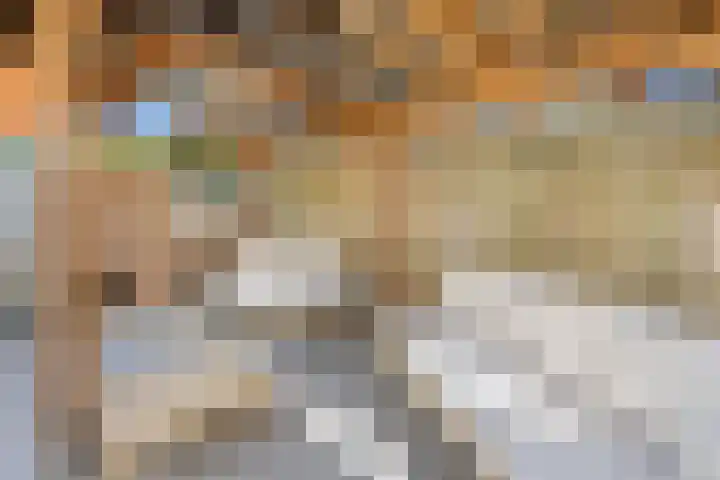 Grote Vos 13 Breda thumbnail 10