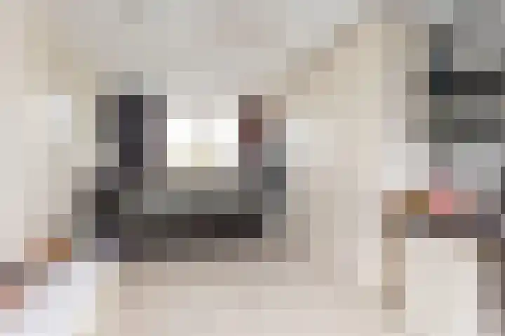 Grote Vos 13 Breda thumbnail 12