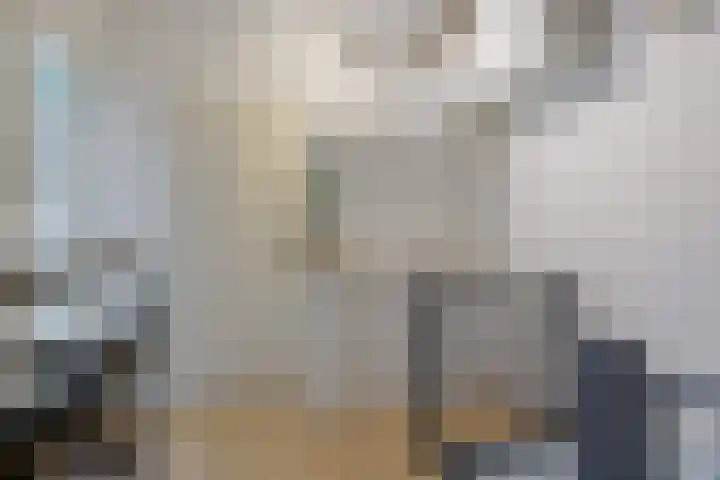 Grote Vos 13 Breda thumbnail 14