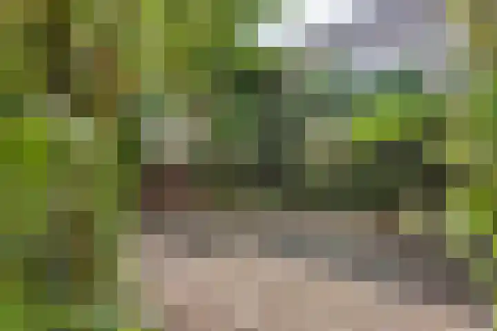 Grote Vos 13 Breda thumbnail 20