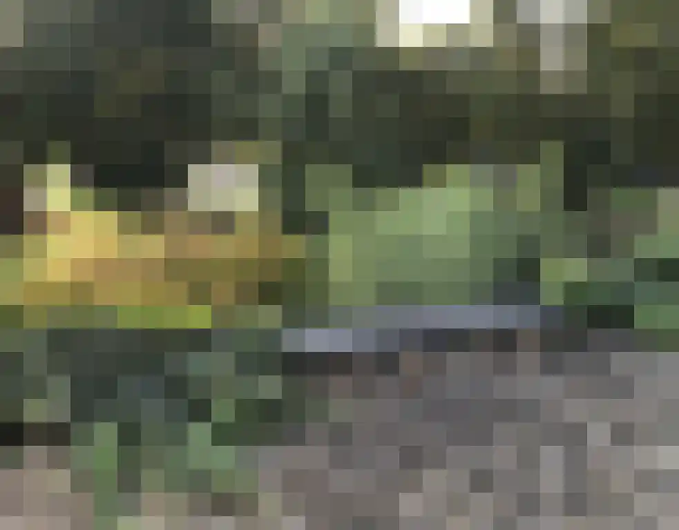 Grote Vos 13 Breda thumbnail 26