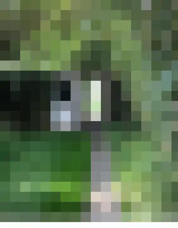 Grote Vos 13 Breda thumbnail 28