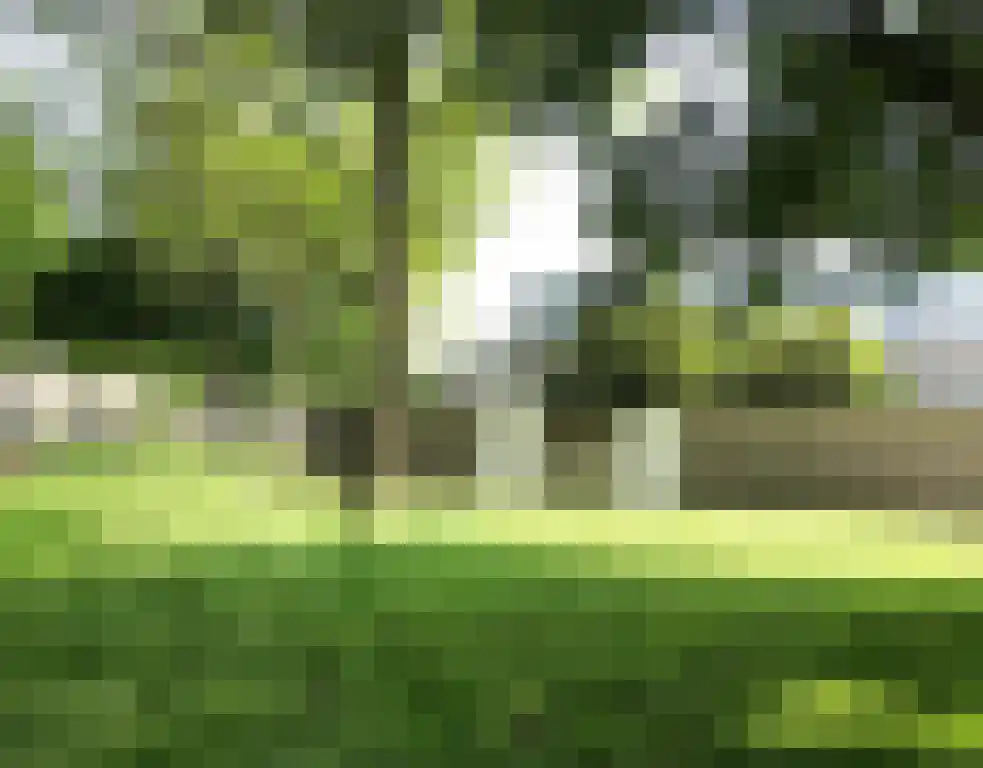 Grote Vos 13 Breda thumbnail 30