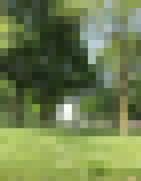 Grote Vos 13 Breda thumbnail 31