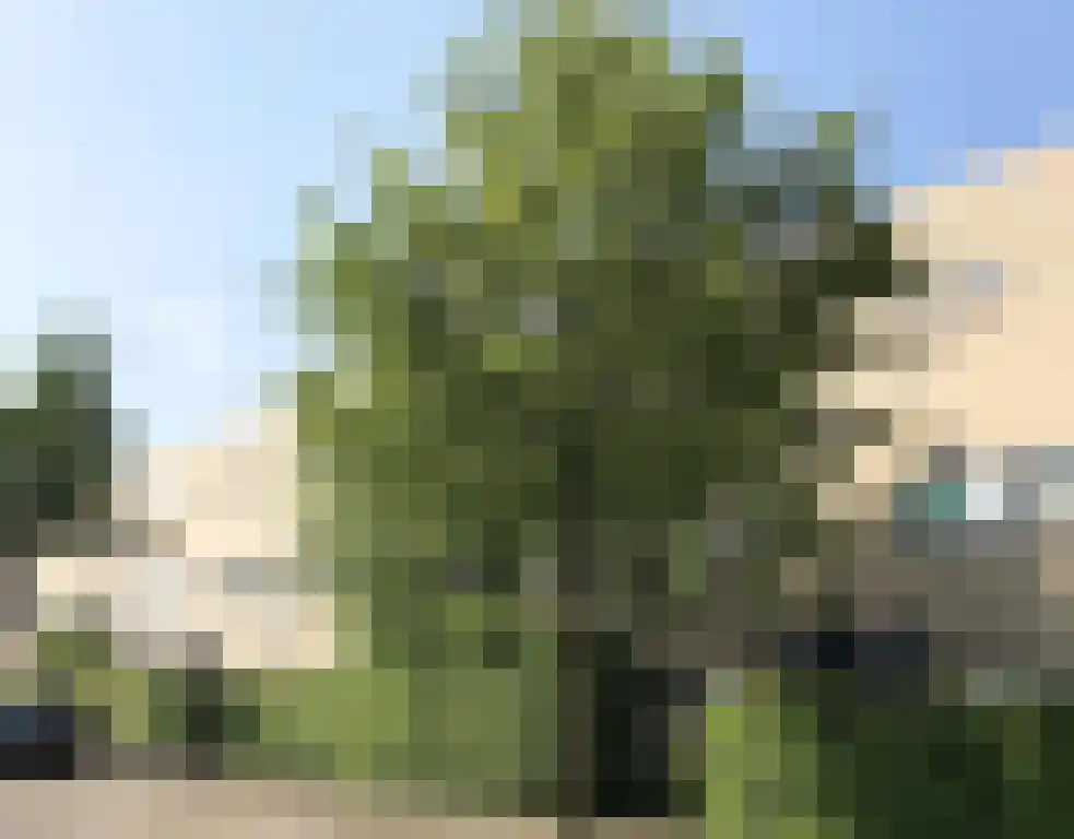 Grote Vos 13 Breda thumbnail 4