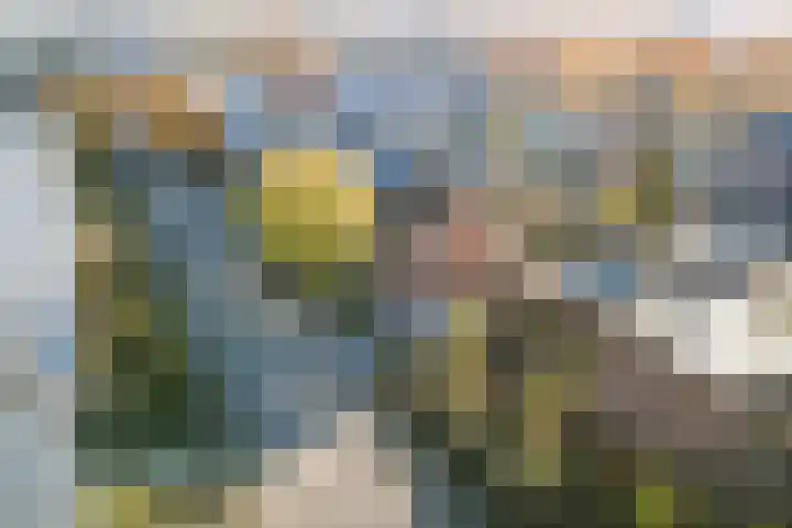 Grote Vos 13 Breda thumbnail 7