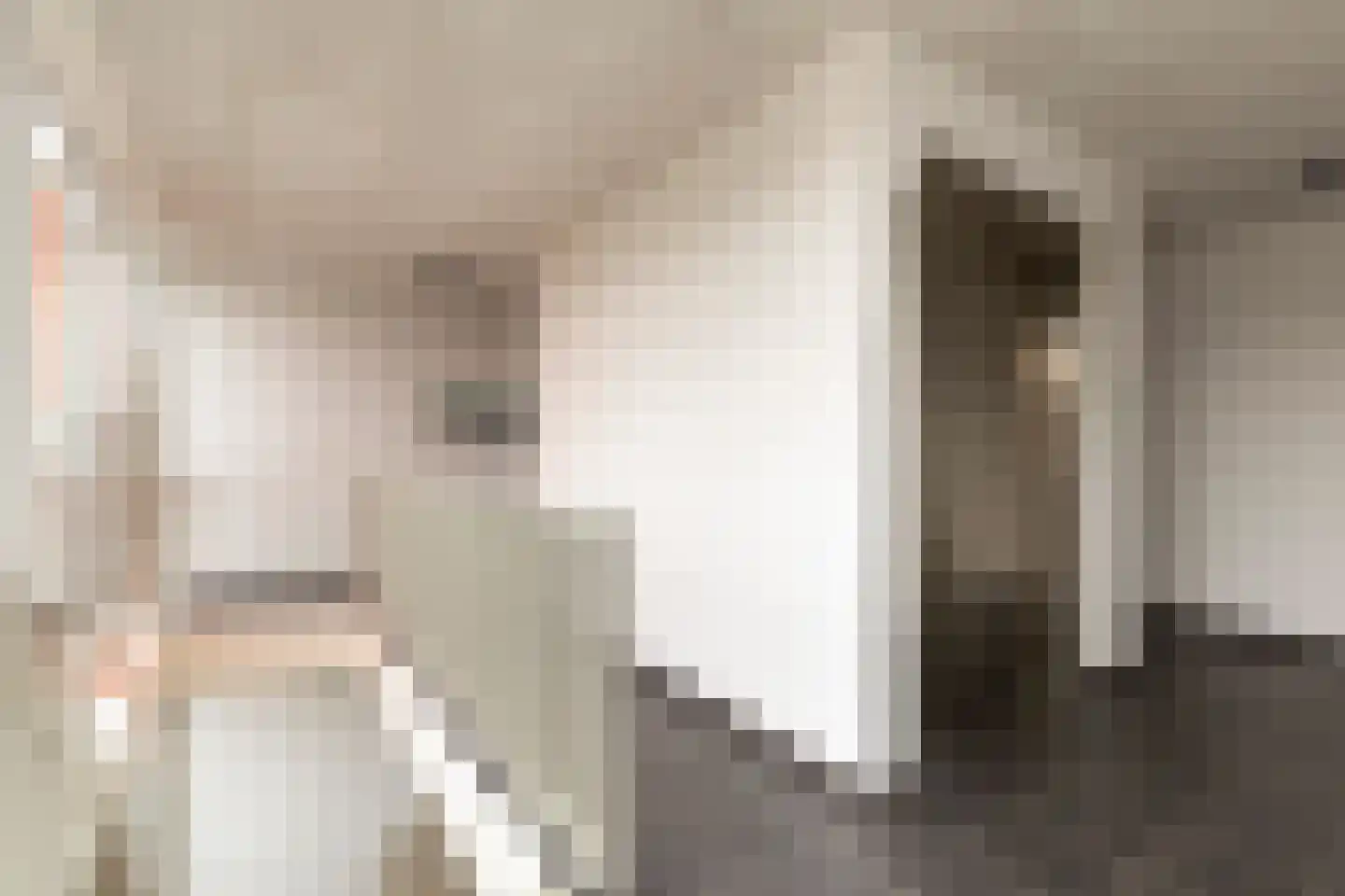 Grote Vos 14 Tiel thumbnail 11
