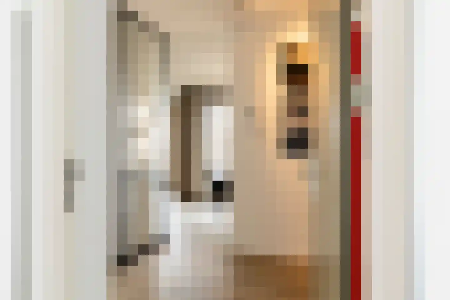 Grote Vos 14 Tiel thumbnail 12