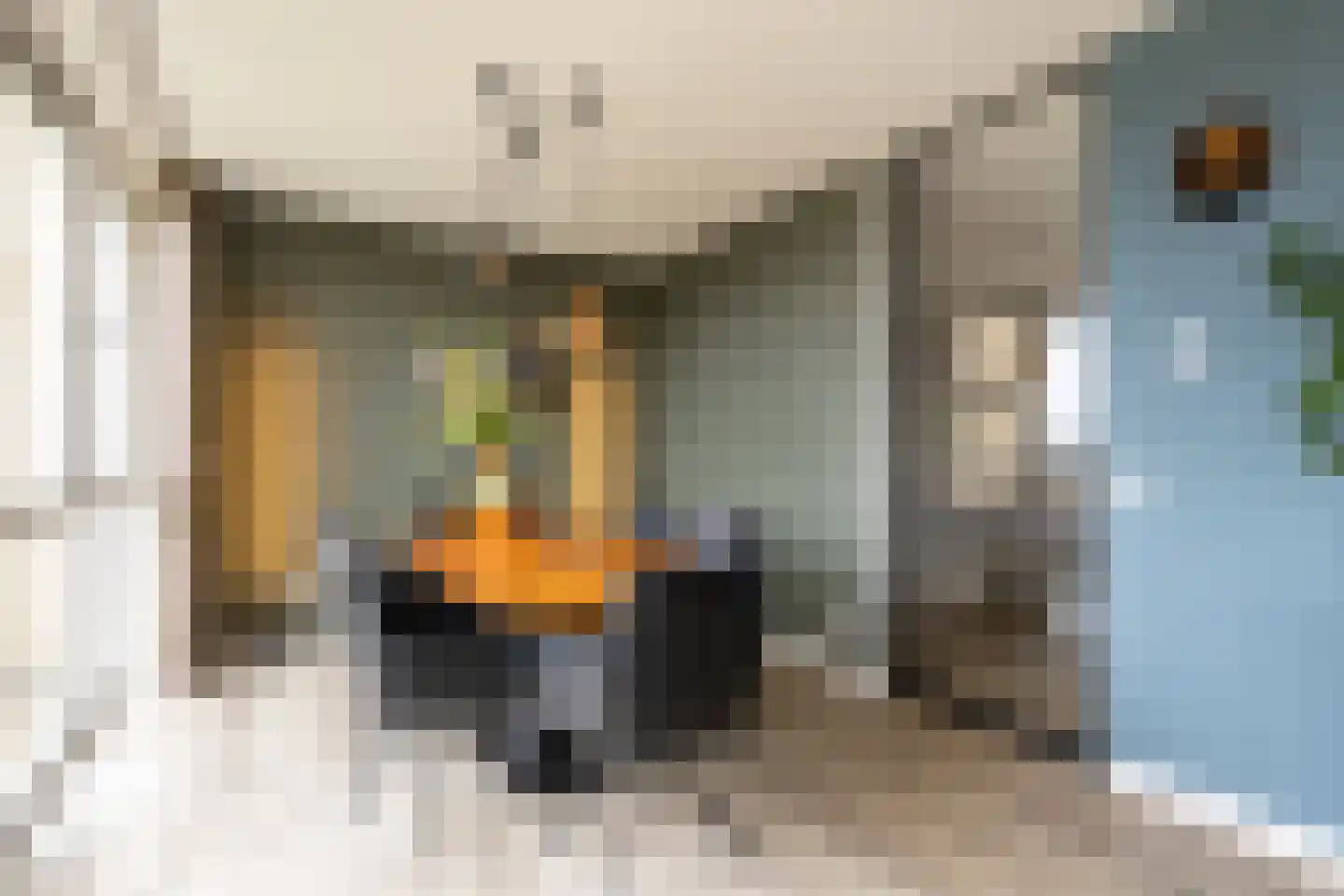 Grote Vos 14 Tiel thumbnail 17