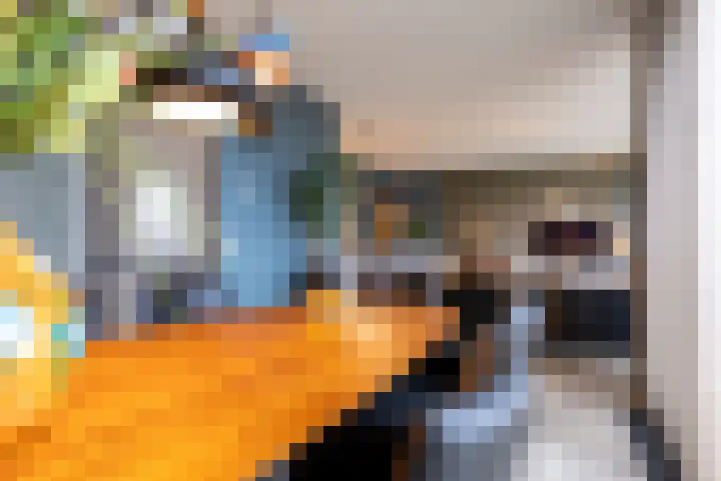 Grote Vos 14 Tiel thumbnail 20