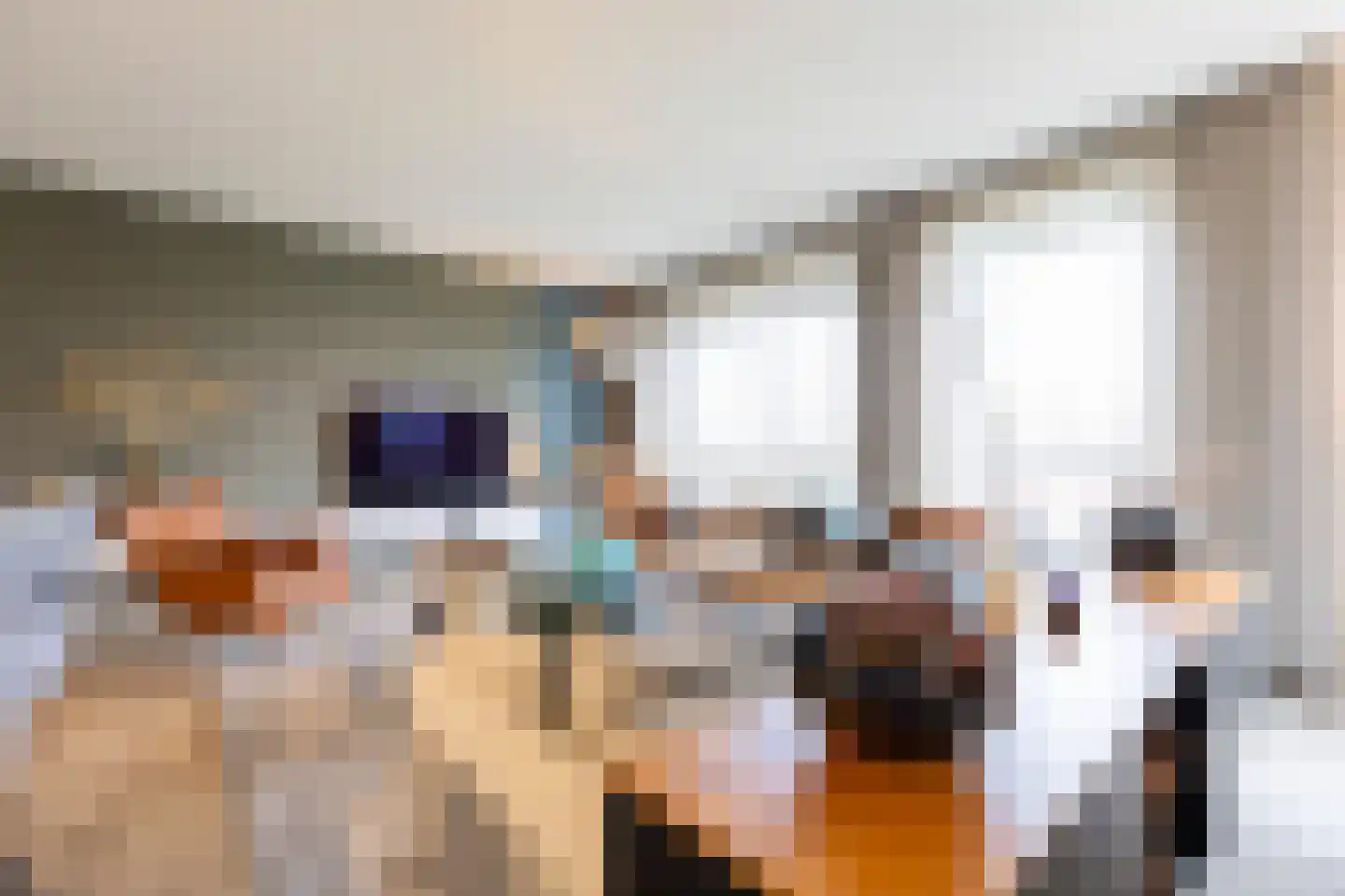 Grote Vos 14 Tiel thumbnail 25
