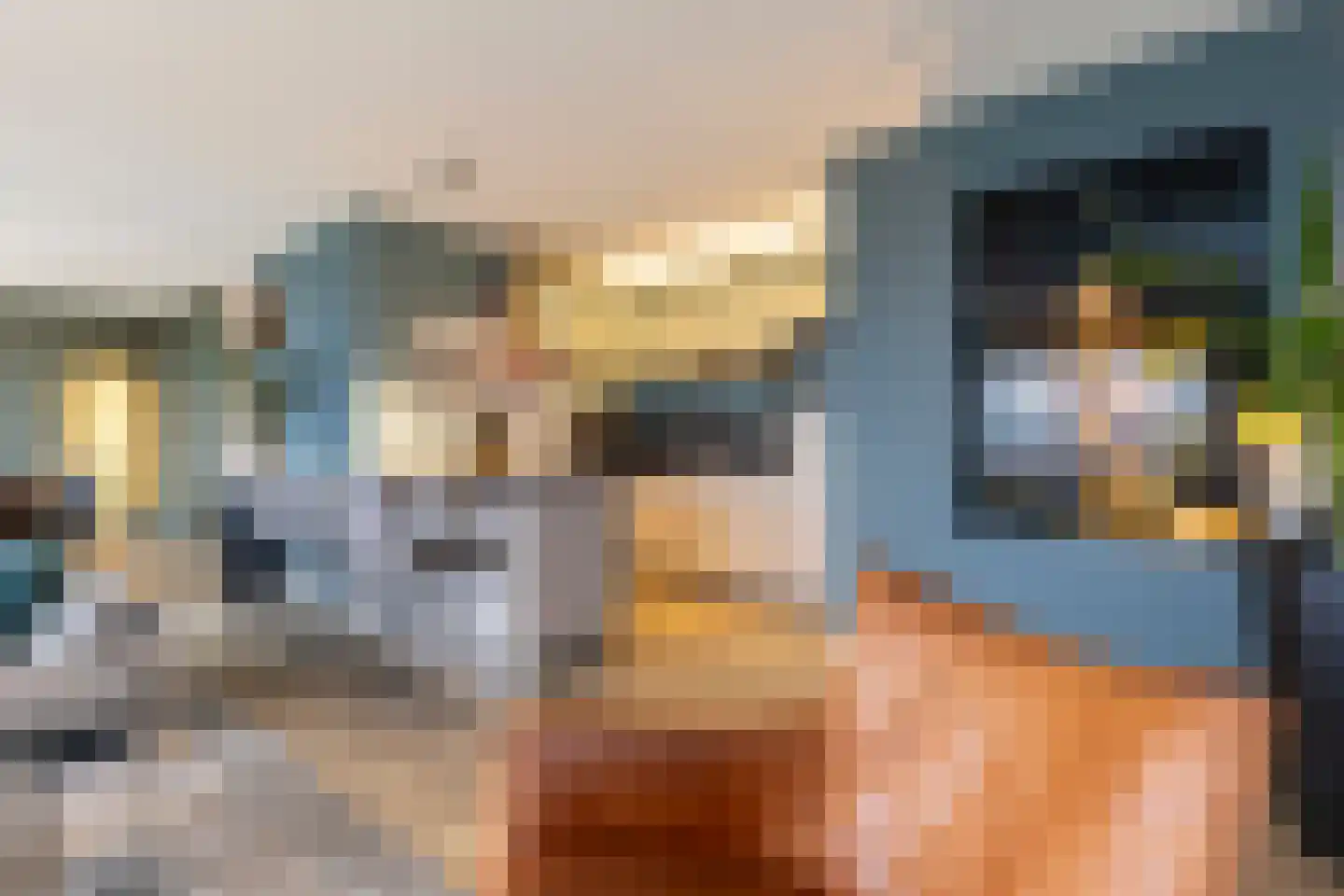 Grote Vos 14 Tiel thumbnail 31
