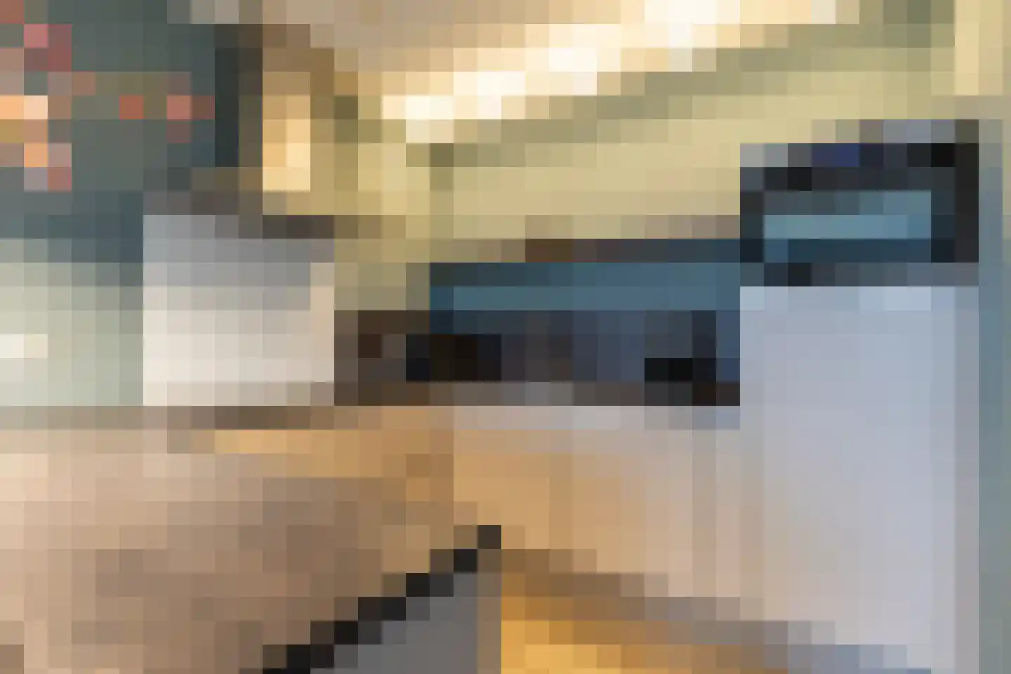 Grote Vos 14 Tiel thumbnail 33