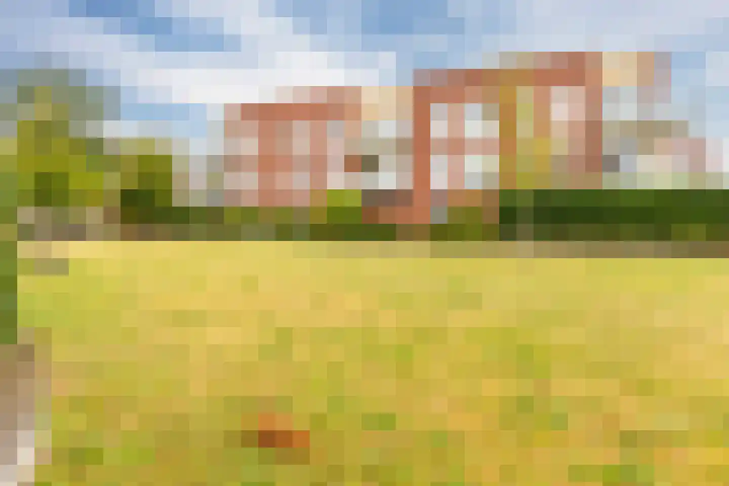 Grote Vos 14 Tiel thumbnail 4