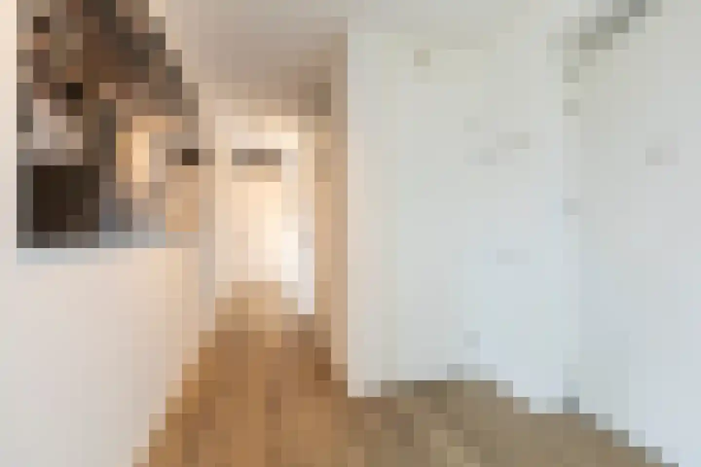 Grote Vos 14 Tiel thumbnail 46