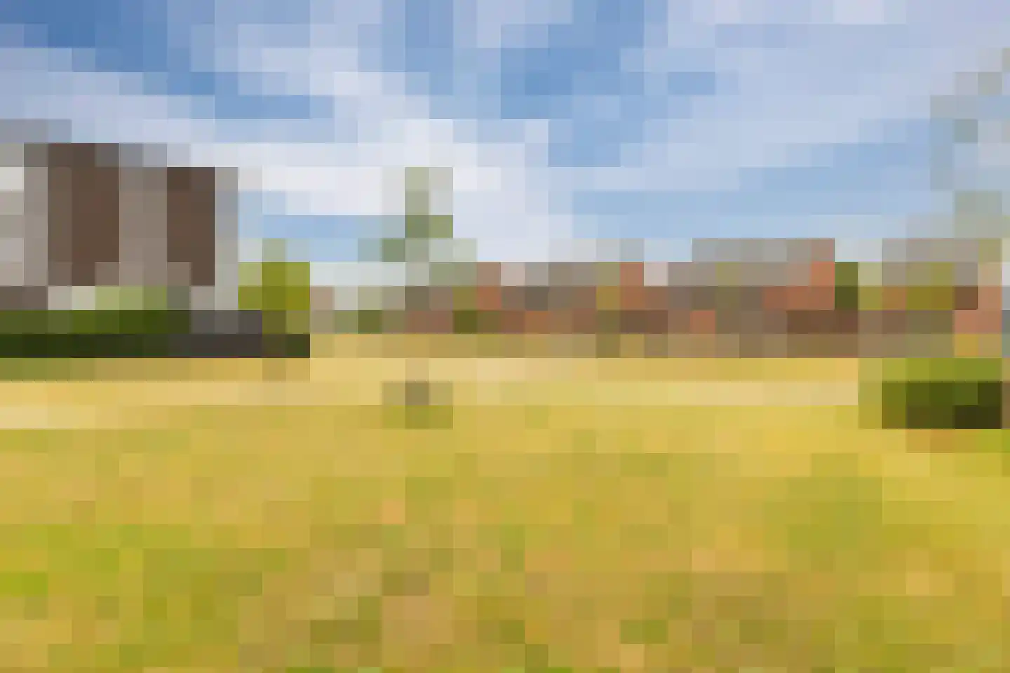 Grote Vos 14 Tiel thumbnail 5