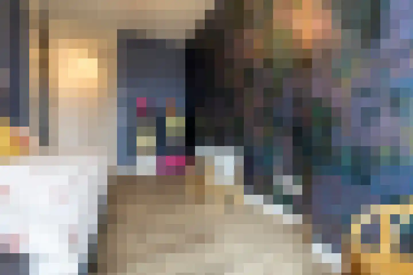 Grote Vos 14 Tiel thumbnail 53