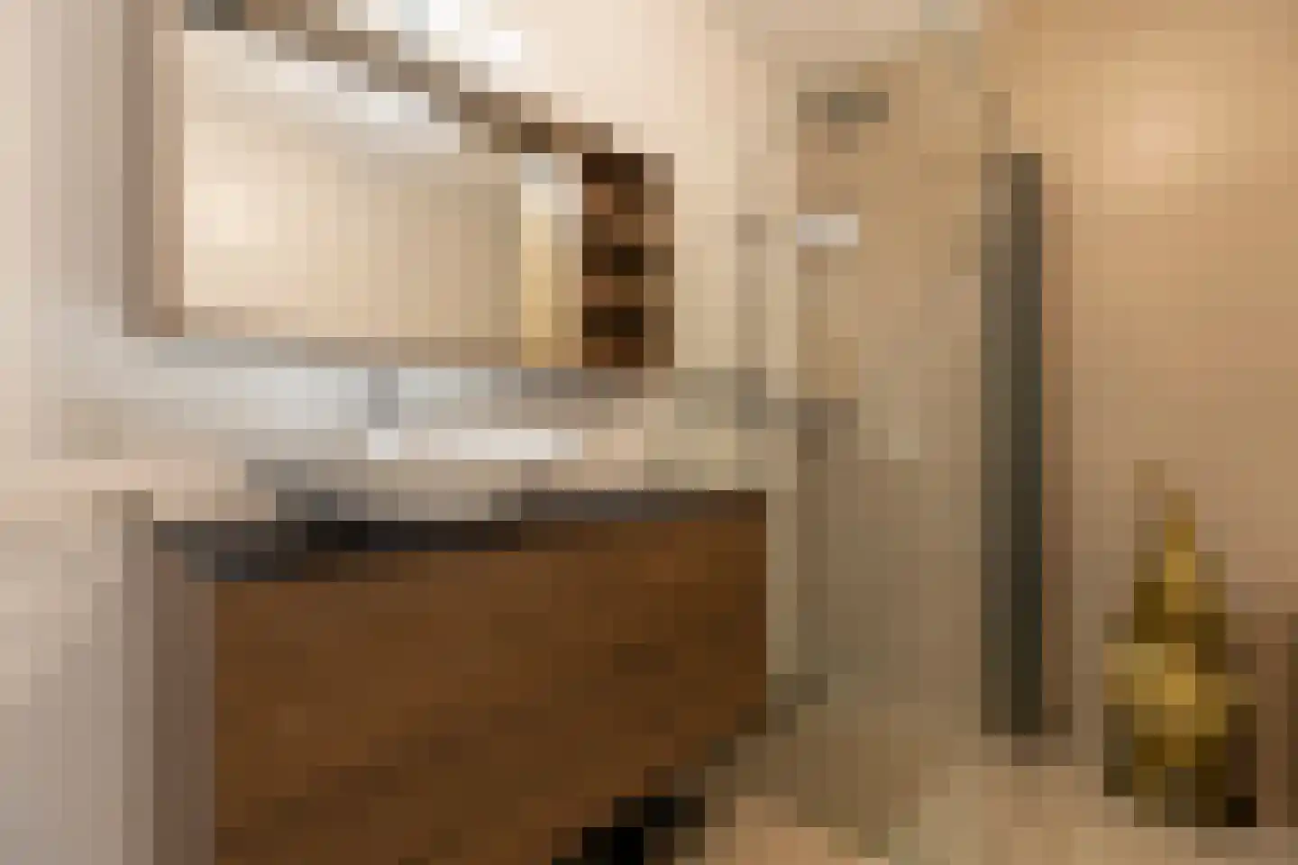 Grote Vos 14 Tiel thumbnail 56