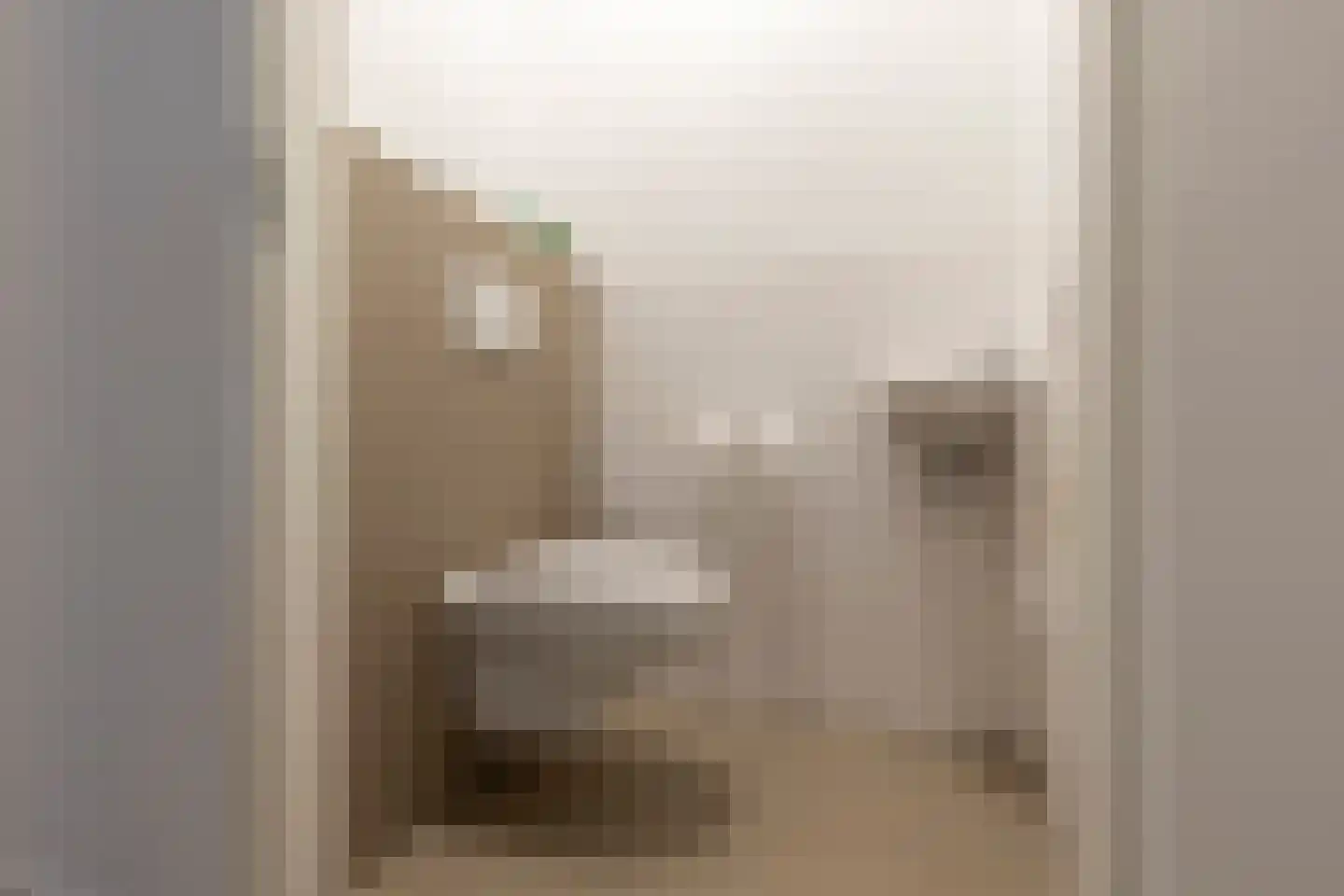 Grote Vos 14 Tiel thumbnail 58