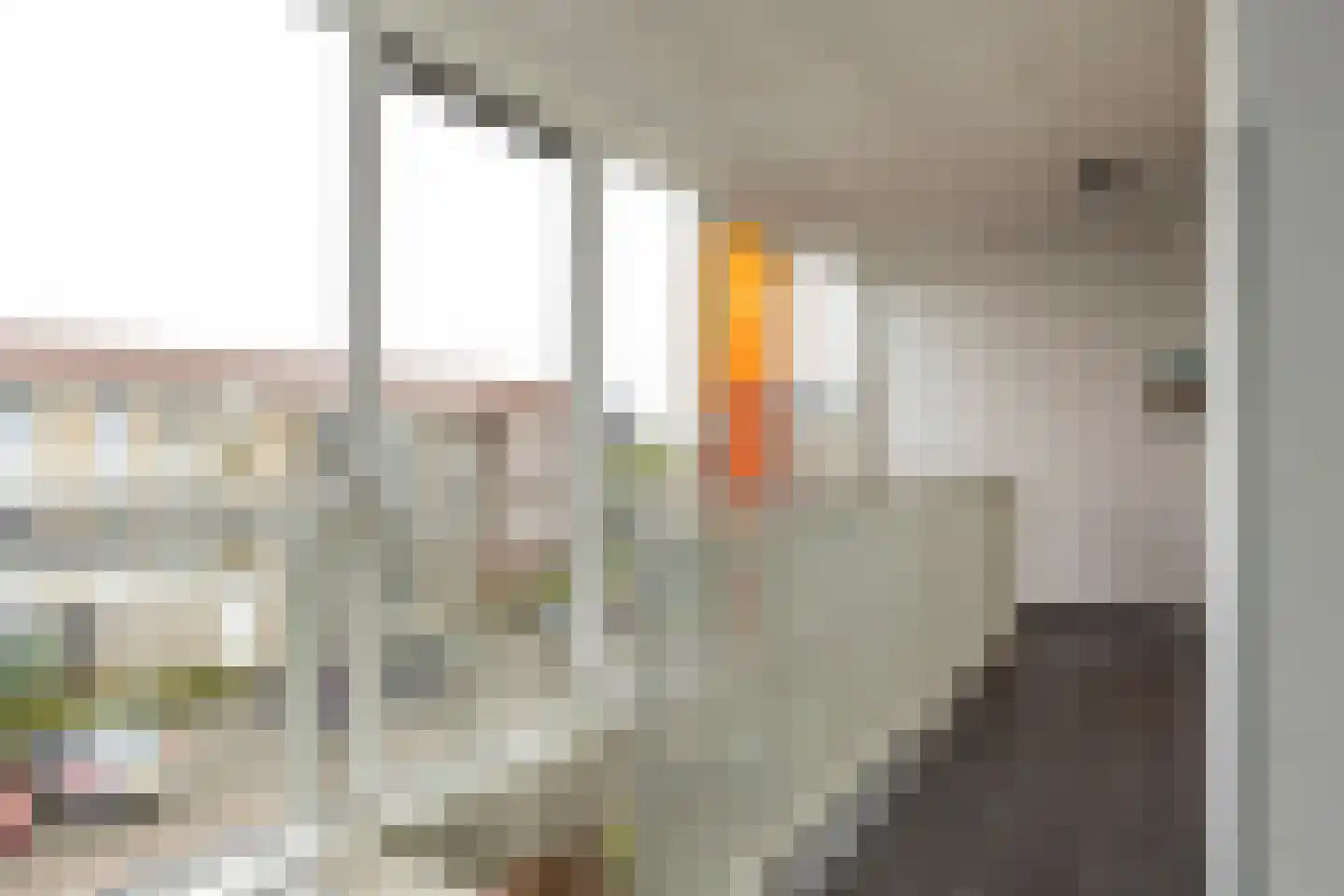 Grote Vos 14 Tiel thumbnail 59