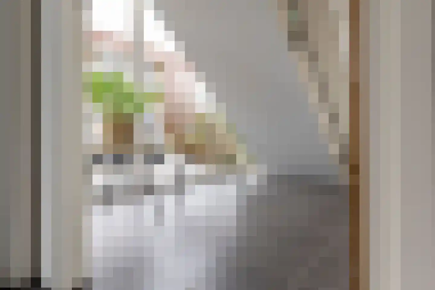 Grote Vos 14 Tiel thumbnail 60