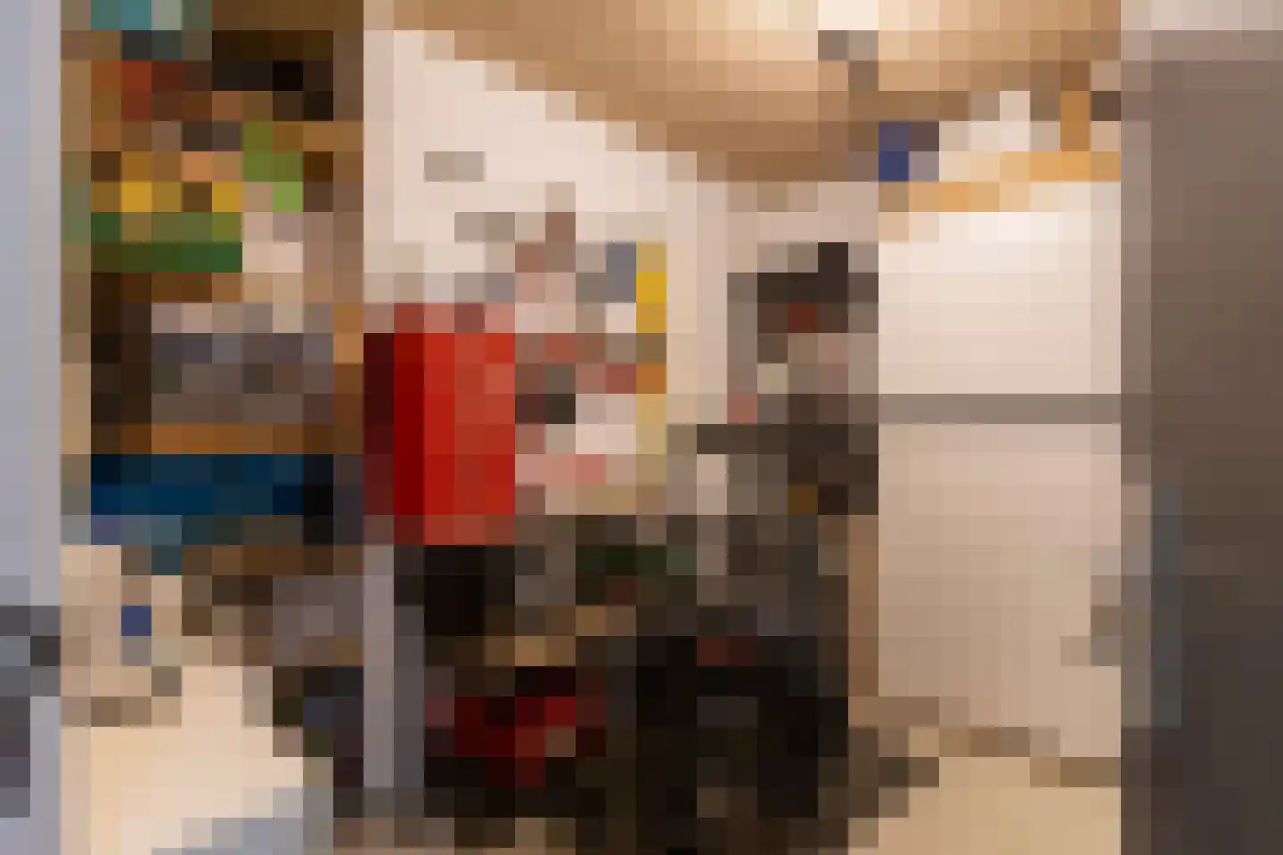 Grote Vos 14 Tiel thumbnail 62