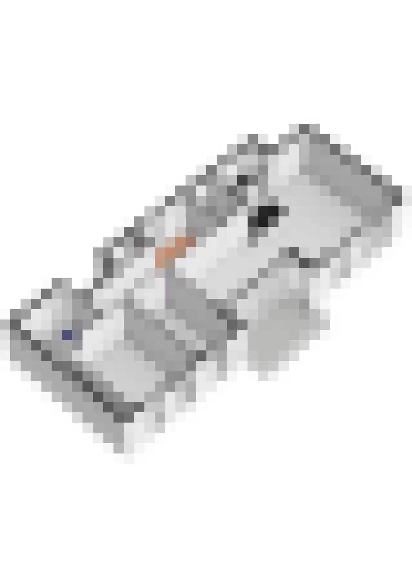 Grote Vos 14 Tiel thumbnail 64