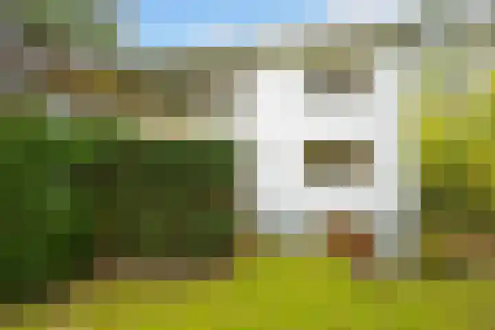 Grote Vos 18 Breda thumbnail 10