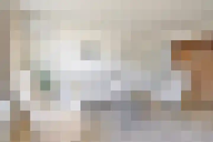Grote Vos 18 Breda thumbnail 13