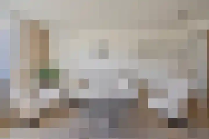 Grote Vos 18 Breda thumbnail 14