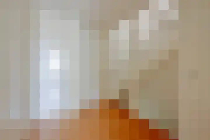 Grote Vos 18 Breda thumbnail 26
