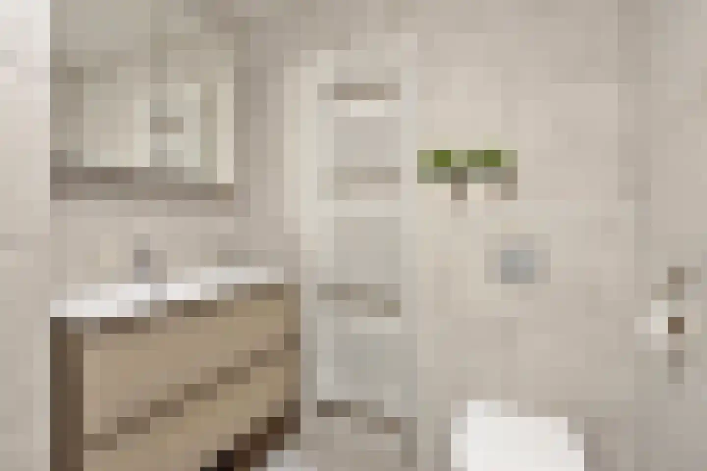 Grote Vos 18 Breda thumbnail 31