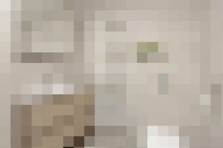 Grote Vos 18 Breda thumbnail 31