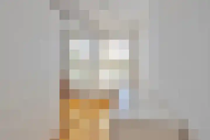 Grote Vos 18 Breda thumbnail 35