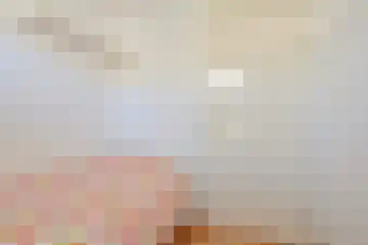 Grote Vos 18 Breda thumbnail 38
