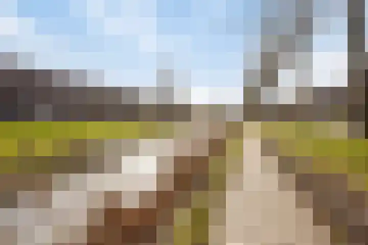 Grote Vos 18 Breda thumbnail 49